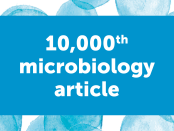 Frontiers in Microbiology David Hutchins article