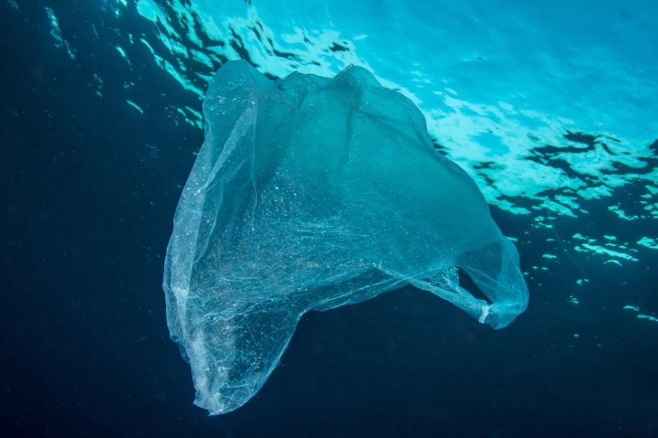 Marine science: plastic pollution mesopelagic fish