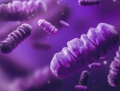 Frontiers in Energy Research: The first reported use of photosynthetic microbes in a battery-like 'bioelectrochemical system' shows that purple bacteria could turn wastewater treatment plants into zero-carbon fuel generators